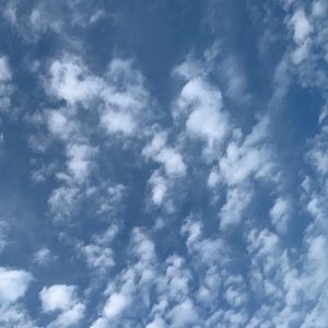 Meet your Posher, Gabriella